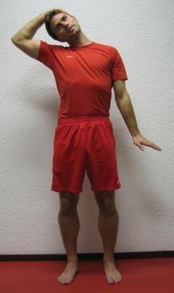 Dehnung der seitlichen Nackenmuskulatur